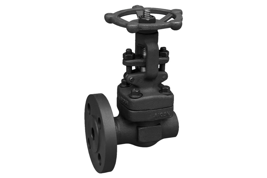 Socket welding globe valve