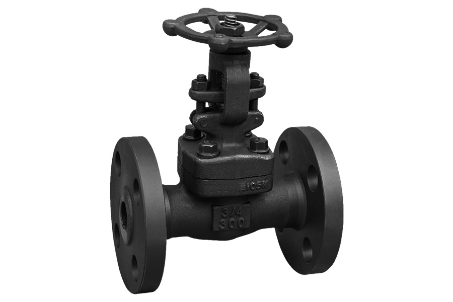 Socket welding globe valve