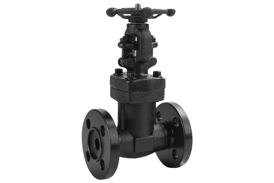 Socket welding globe valve