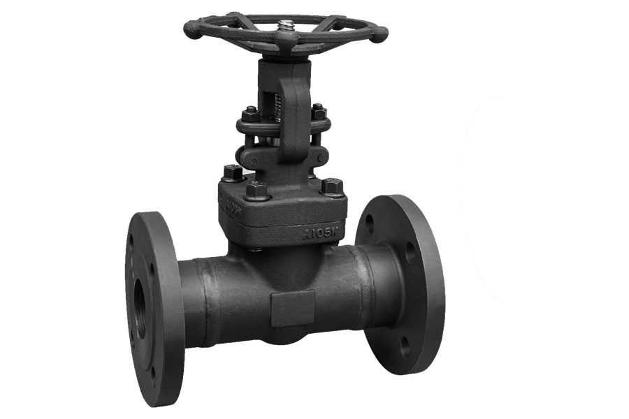 Socket welding globe valve