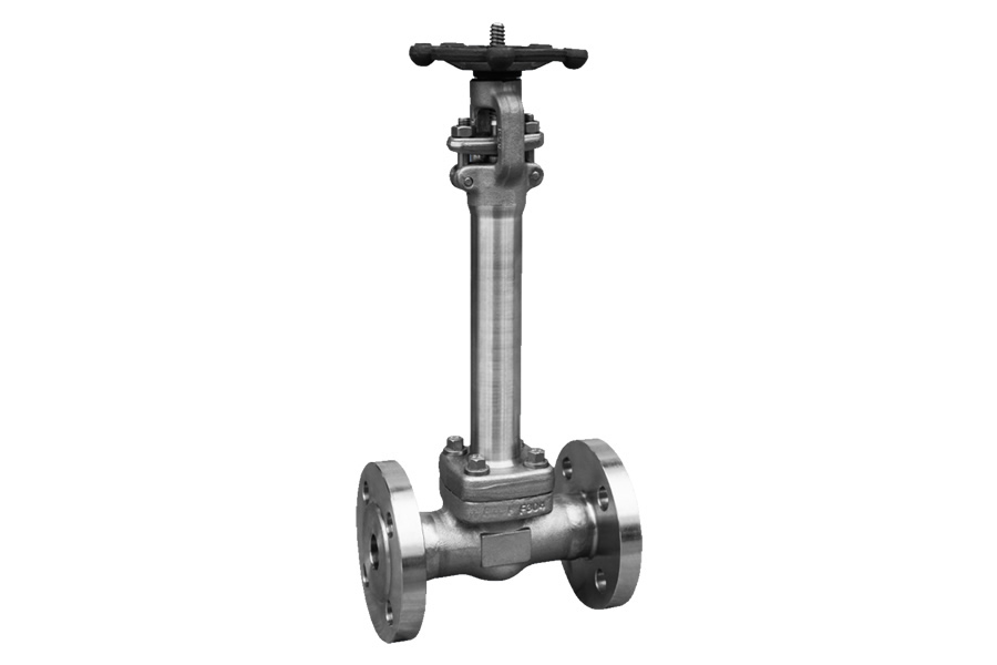 Socket welding globe valve