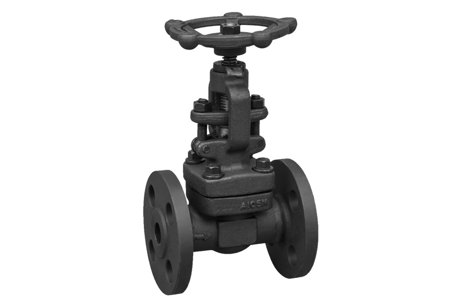 Socket welding globe valve