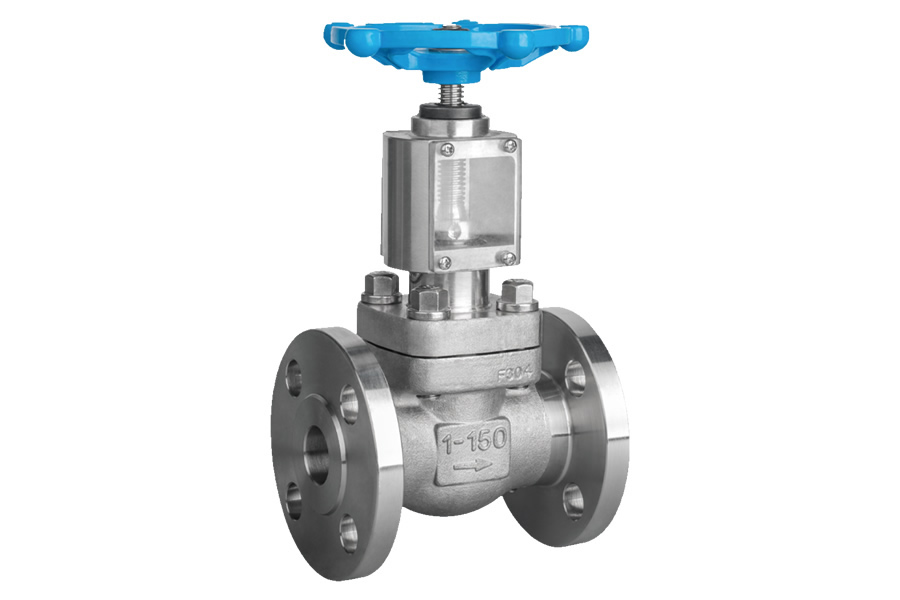 Socket welding globe valve