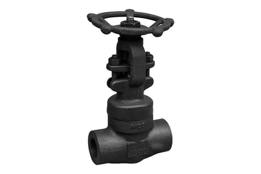 Socket welding globe valve