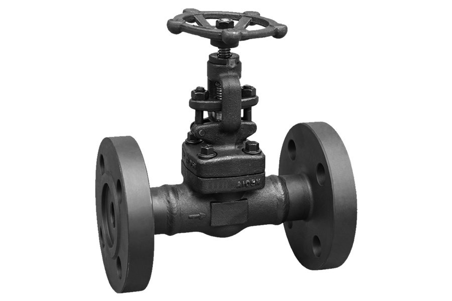 Socket welding globe valve